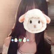 ヒメ日記 2025/06/07 07:33 投稿 桔梗/Kikyou ジュリエット