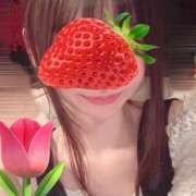 ヒメ日記 2025/06/11 07:42 投稿 桔梗/Kikyou ジュリエット