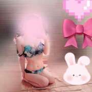 ヒメ日記 2025/06/25 07:42 投稿 桔梗/Kikyou ジュリエット