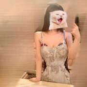 ヒメ日記 2025/08/06 07:33 投稿 桔梗/Kikyou ジュリエット