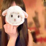 ヒメ日記 2025/12/14 13:03 投稿 桔梗/Kikyou ジュリエット