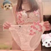 ヒメ日記 2026/02/18 10:48 投稿 桔梗/Kikyou ジュリエット