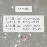 ヒメ日記 2025/05/21 19:18 投稿 弥生/Yayoi ジュリエット