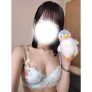 ヒメ日記 2025/07/12 08:33 投稿 弥生/Yayoi ジュリエット