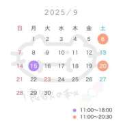 ヒメ日記 2025/08/17 09:57 投稿 弥生/Yayoi ジュリエット