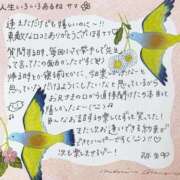 ヒメ日記 2025/08/26 09:18 投稿 弥生/Yayoi ジュリエット