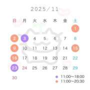 ヒメ日記 2025/10/16 10:30 投稿 弥生/Yayoi ジュリエット