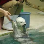 ヒメ日記 2026/04/29 13:18 投稿 弥生/Yayoi ジュリエット