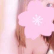 ヒメ日記 2025/04/28 20:10 投稿 みすず 福岡大野城・板付インターちゃんこ