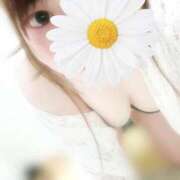 ヒメ日記 2025/06/18 02:18 投稿 みすず 福岡大野城・板付インターちゃんこ