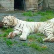 ヒメ日記 2025/07/12 18:20 投稿 りんか 品川ミセスアロマ（ユメオト）