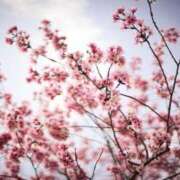 ヒメ日記 2025/04/20 20:51 投稿 しおり 熟女の風俗最終章 仙台店