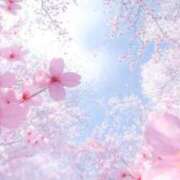 ヒメ日記 2025/04/22 11:34 投稿 しおり 熟女の風俗最終章 仙台店