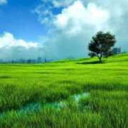 ヒメ日記 2025/05/17 09:04 投稿 しおり 熟女の風俗最終章 仙台店