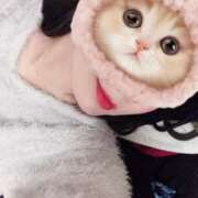 ヒメ日記 2025/08/21 11:54 投稿 瀬戸いくみ 人妻百花