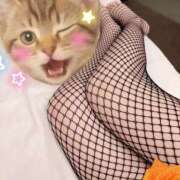 ヒメ日記 2025/09/11 15:40 投稿 瀬戸いくみ 人妻百花