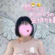 ヒメ日記 2025/05/29 05:14 投稿 もも ふわふわコレクション