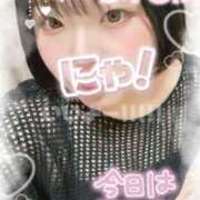 ヒメ日記 2025/08/19 13:04 投稿 もも ふわふわコレクション