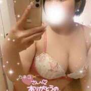 ヒメ日記 2025/09/02 18:44 投稿 もも ふわふわコレクション