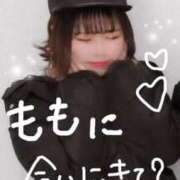 ヒメ日記 2025/10/29 08:54 投稿 もも ふわふわコレクション