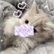 ヒメ日記 2025/11/16 20:01 投稿 もも ふわふわコレクション