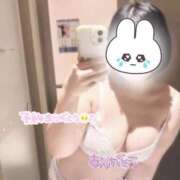 ヒメ日記 2025/11/23 21:54 投稿 もも ふわふわコレクション