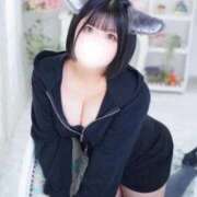 ヒメ日記 2025/11/24 19:34 投稿 もも ふわふわコレクション