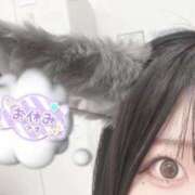 ヒメ日記 2025/12/22 19:44 投稿 もも ふわふわコレクション