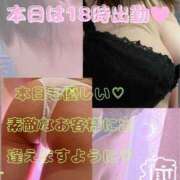 ヒメ日記 2025/07/30 09:50 投稿 めいさん いけない奥さん 十三店