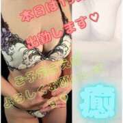 ヒメ日記 2025/08/14 10:13 投稿 めいさん いけない奥さん 十三店