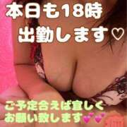 ヒメ日記 2025/11/27 12:48 投稿 めいさん いけない奥さん 十三店