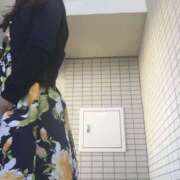 ヒメ日記 2026/06/29 17:12 投稿 あかり 熟女道楽 小岩店