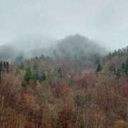 ヒメ日記 2025/04/29 15:09 投稿 えりか 完熟ばなな札幌・すすきの