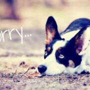 ヒメ日記 2025/05/01 07:19 投稿 えりか 完熟ばなな札幌・すすきの