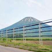 ヒメ日記 2025/06/14 08:59 投稿 えりか 完熟ばなな札幌・すすきの