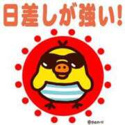 ヒメ日記 2025/06/15 14:29 投稿 えりか 完熟ばなな札幌・すすきの