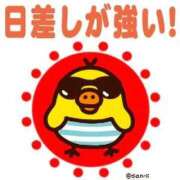 ヒメ日記 2025/08/24 13:19 投稿 えりか 完熟ばなな札幌・すすきの