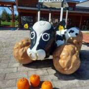 ヒメ日記 2025/10/06 19:09 投稿 えりか 完熟ばなな札幌・すすきの