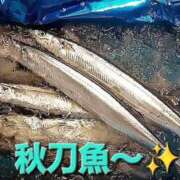 ヒメ日記 2026/09/24 19:09 投稿 えりか 完熟ばなな札幌・すすきの
