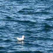朝野 お久しぶりです🌟 サブマリン