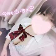 ヒメ日記 2026/05/03 10:29 投稿 たこ スピードエコ日本橋店