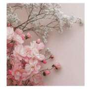 ヒメ日記 2025/07/03 11:26 投稿 せりか 妊婦母乳風俗専門店ミルクランド