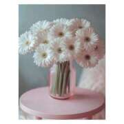 ヒメ日記 2025/07/18 05:33 投稿 せりか 妊婦母乳風俗専門店ミルクランド