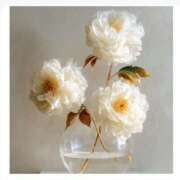 ヒメ日記 2025/07/26 16:18 投稿 せりか 妊婦母乳風俗専門店ミルクランド