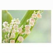 ヒメ日記 2025/08/13 11:43 投稿 せりか 妊婦母乳風俗専門店ミルクランド