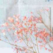 ヒメ日記 2025/12/04 23:24 投稿 せりか 妊婦母乳風俗専門店ミルクランド