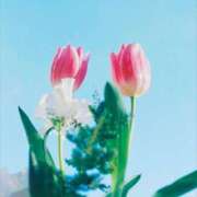 ヒメ日記 2025/12/19 07:59 投稿 せりか 妊婦母乳風俗専門店ミルクランド