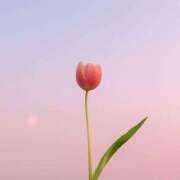 ヒメ日記 2025/12/22 14:37 投稿 せりか 妊婦母乳風俗専門店ミルクランド