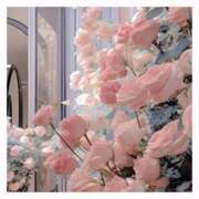 ヒメ日記 2025/12/26 10:56 投稿 せりか 妊婦母乳風俗専門店ミルクランド