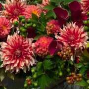 ヒメ日記 2026/04/11 03:34 投稿 せりか 妊婦母乳風俗専門店ミルクランド